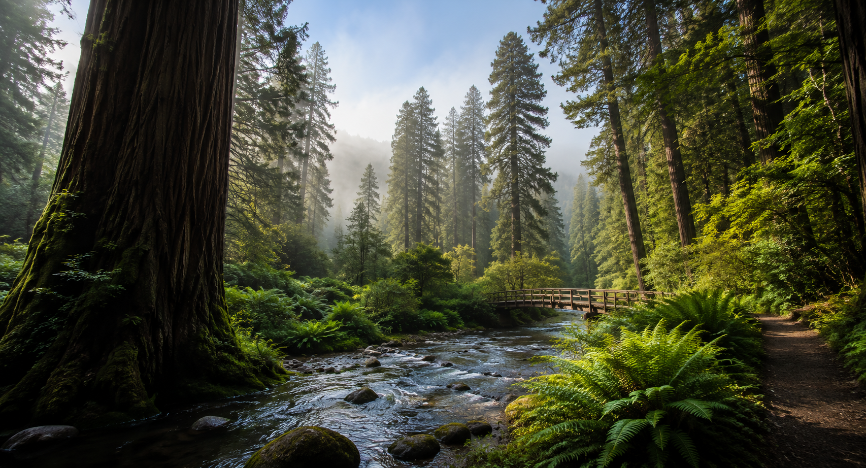Start Your Humboldt County Adventure
