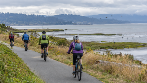 Cyclists riding the Humboldt Bay Trail beside coastal wetlands