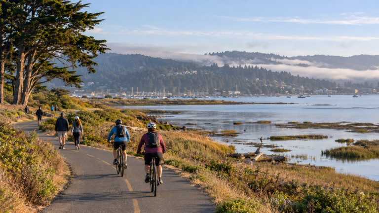 Humboldt Bay Trail Expansion: What Visitors Should Know in 2026